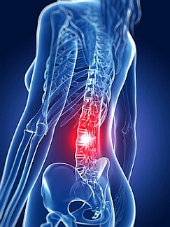 מינג מן תמונה של עמש מוקטנת