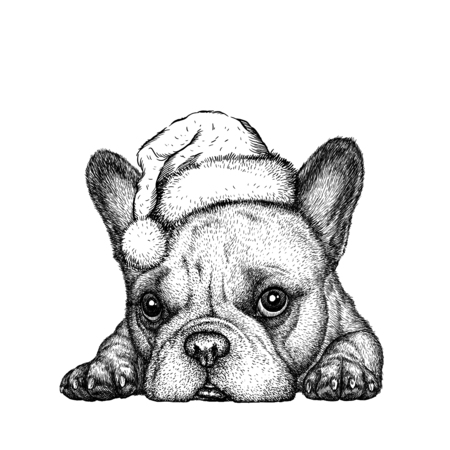 68866268 - french bulldog, black and white engrave. christmas hat.
